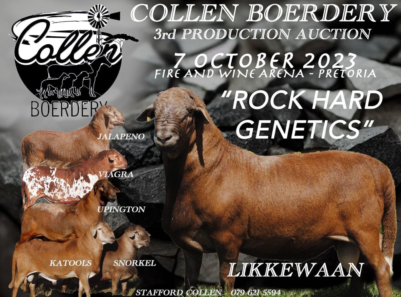 Collen – Meatmaster SA